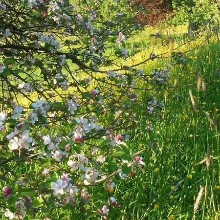 Quaint In Robechies Amid Meadows Σπίτι διακοπών *