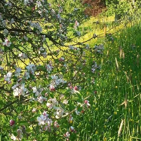 Nature Hideaway * Chimay