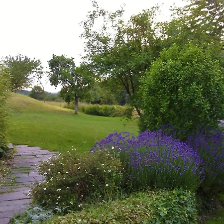 Chimay Nature Hideaway Ferienhaus Chimay